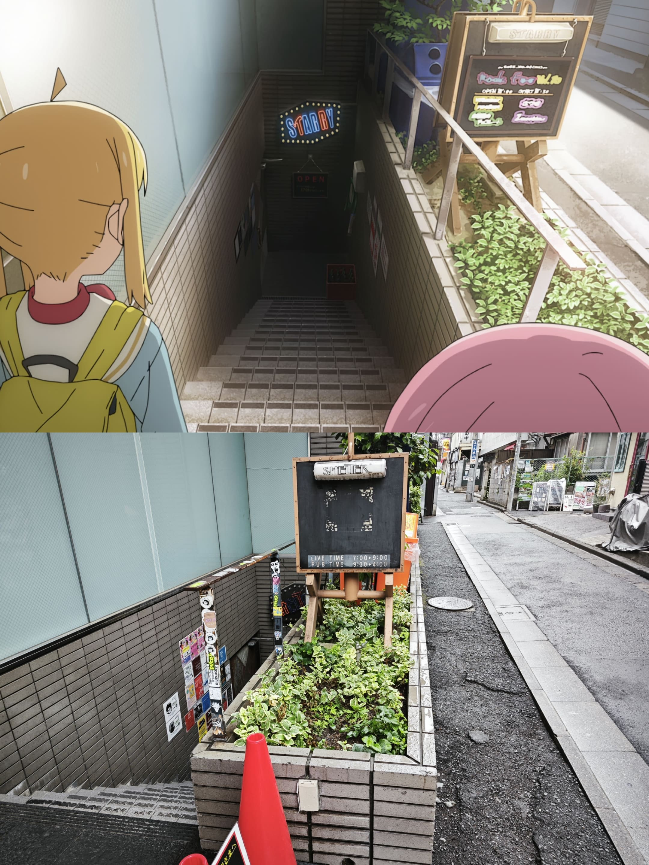 shelter
